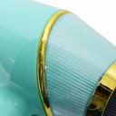 Séche Cheveux Florence Power Max 2200W Vert D'eau  