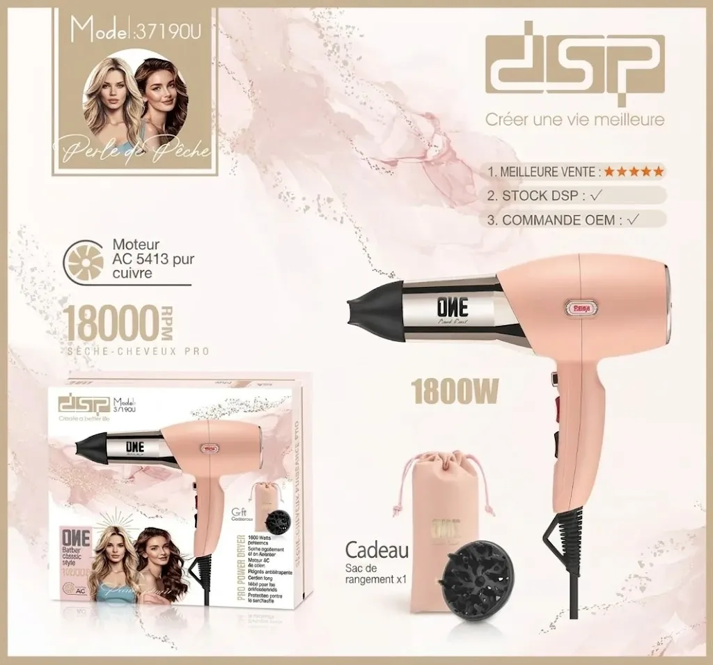 Sèche-Cheveux DSP (2).webp