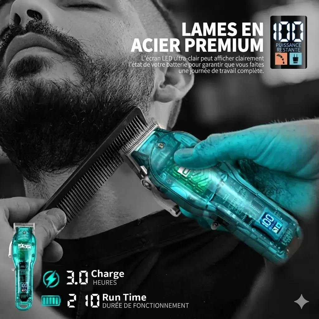 Tondeuse Cheveux Professionnelle DSP 6500RPM - 5W - Bleu1.webp