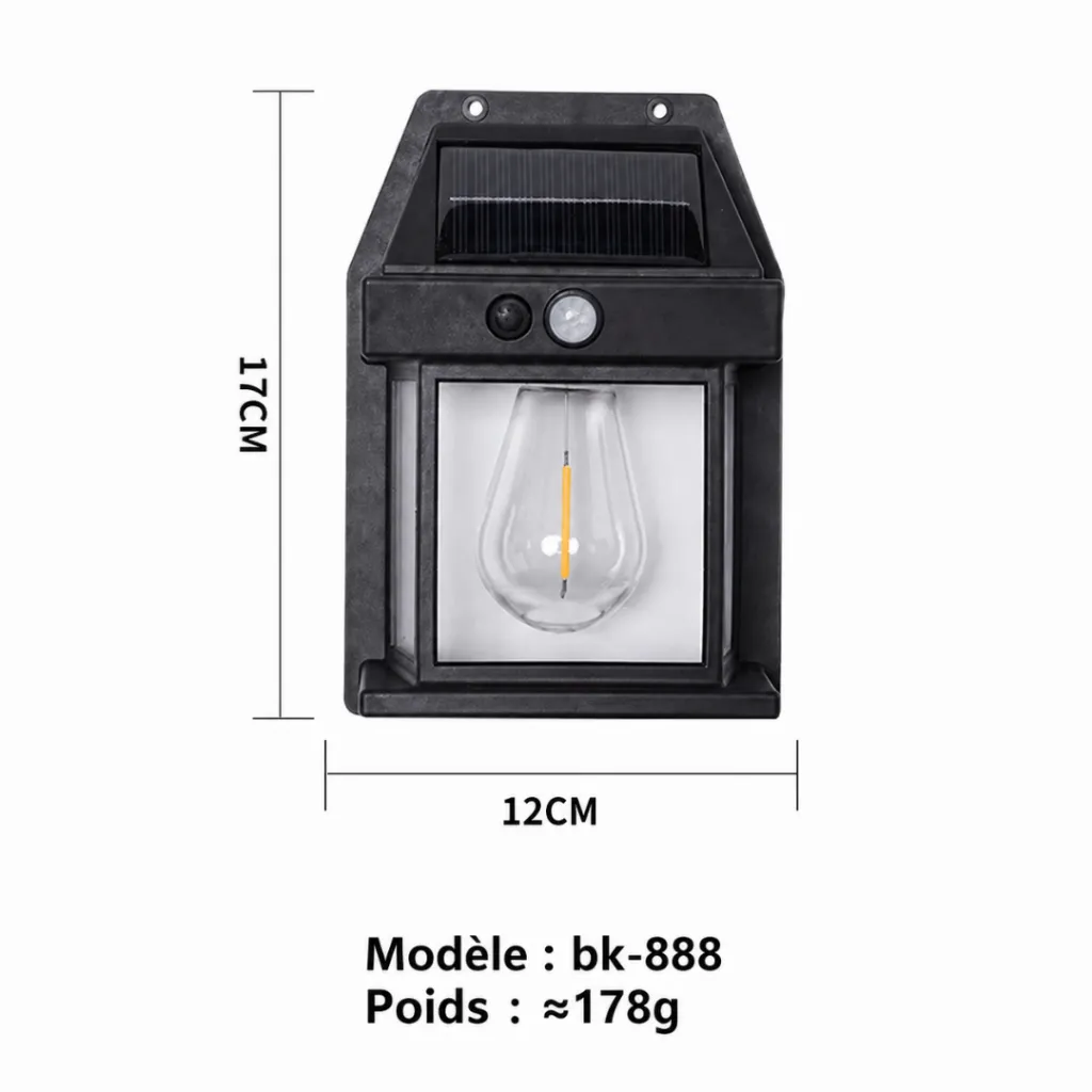 Lampe Solaire Murale Avec Détecteur -1W (1).webp
