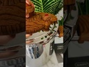 youtube - [Video]