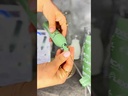 youtube - [Video]