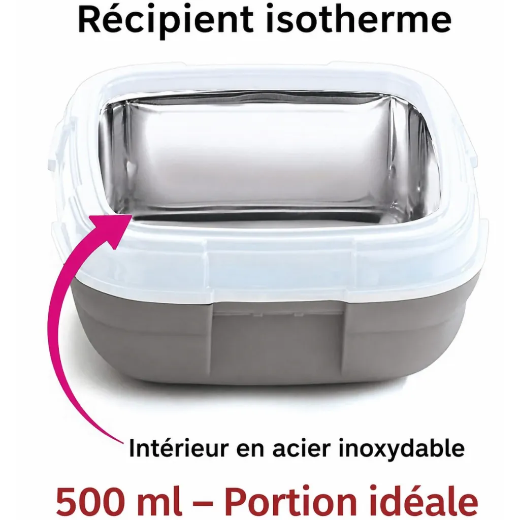 Lunch Box Isotherme Pinnacle 500 ml Gris (1).webp