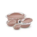 Ensemble de 4 Boites Isothermes Pinnacle Rose (1).webp