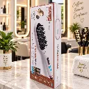 Brosse Coiffante DSP – 65W – 230°C (1).webp