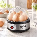 Cuiseur A Oeufs DSP 350W.webp
