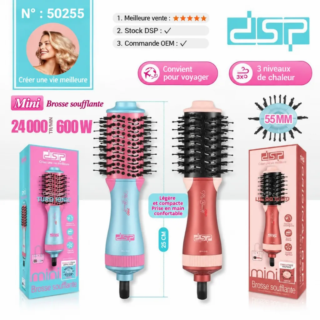 Brosse Soufflante DSP 600W (1).webp