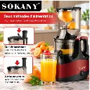 Extracteur De Jus Lent Sokany- 300 ml- 250 W (4).webp
