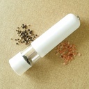 Moulin Électrique Sel & Poivre Techwood Inox, Broyage Réglable & Éclairage – TPSI-263