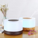 Diffuseur d'arôme Électrique D'Huiles Essentielles M2