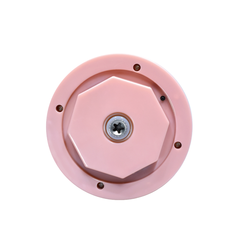 Hachoir En Plastique Lexical 300W Rose