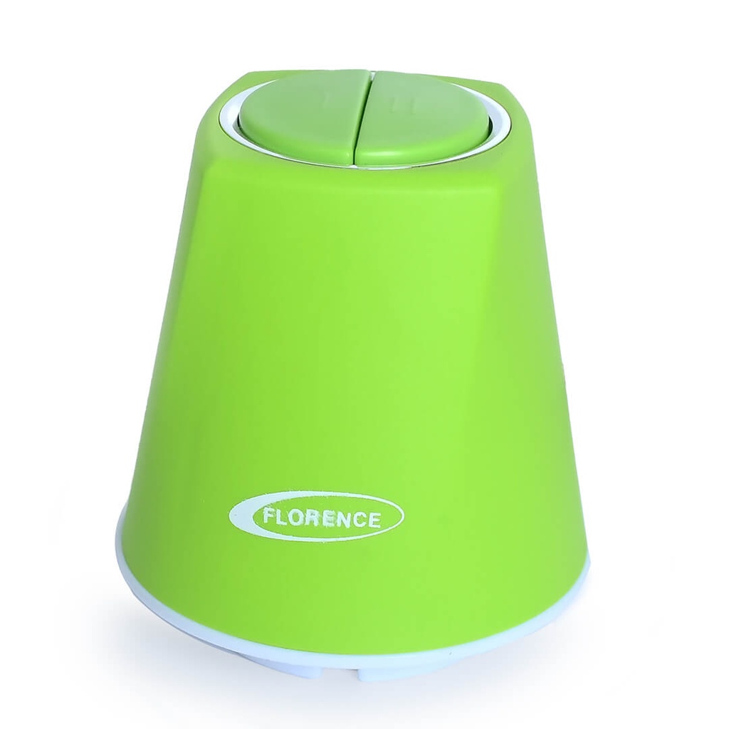Hachoir Florence 2L 400W Vert