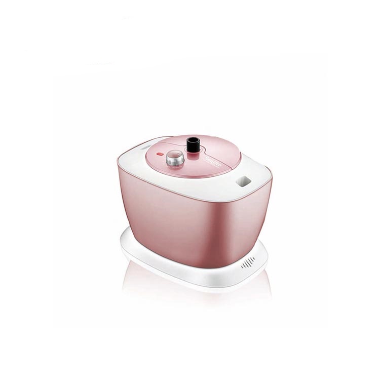 Defroisseur vértical Sonifer 2000W