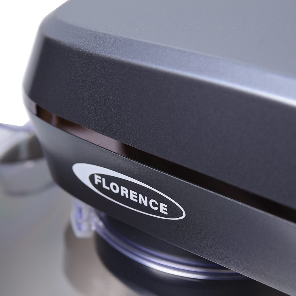 Robot Petrin Florence 10L 2200W Gris 