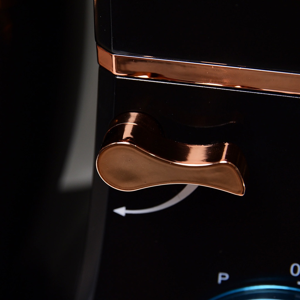 Robot Petrin Florence 10L 2200W Noir 