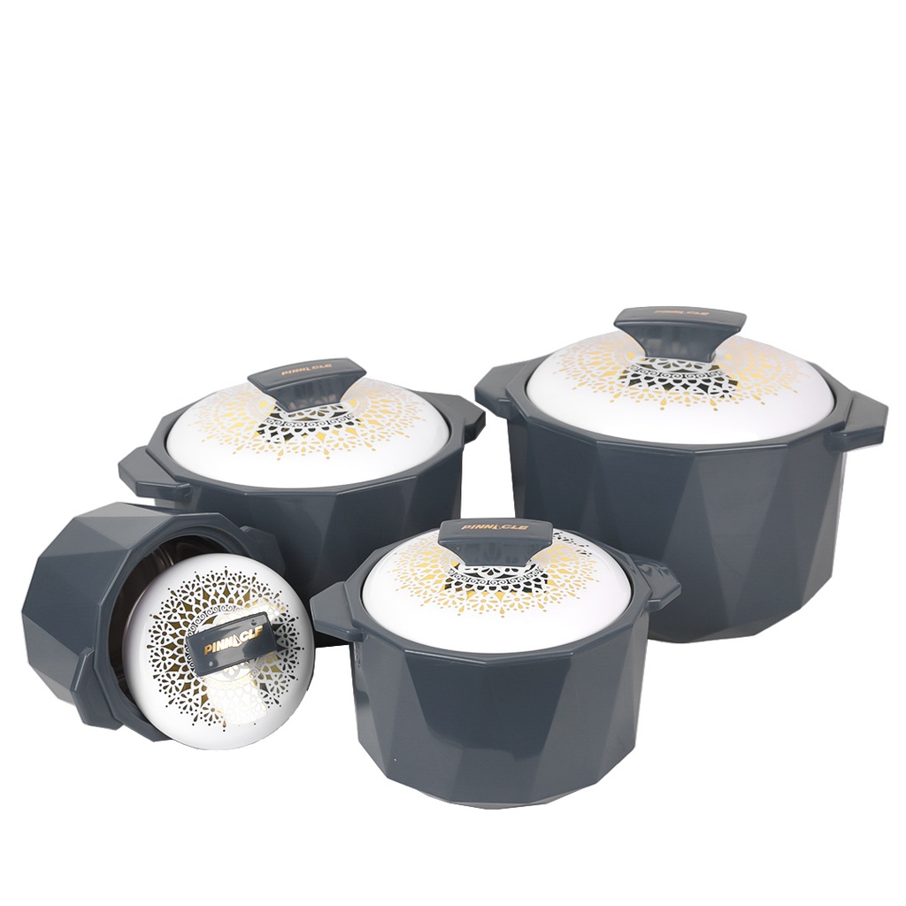 Ensemble de 4 Boites Isotherme Pinnacle Gris