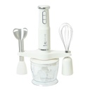Mixeur Plongeant 4en1 Florence 600W Blanc