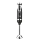 Mixeur Plongeant DSP 500W- Noir